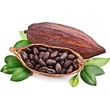 Wooden Spoon Bio ajakbalzsam - Fenséges csók (4,3 ml)